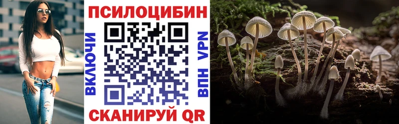 Галлюциногенные грибы прущие грибы  Саранск 